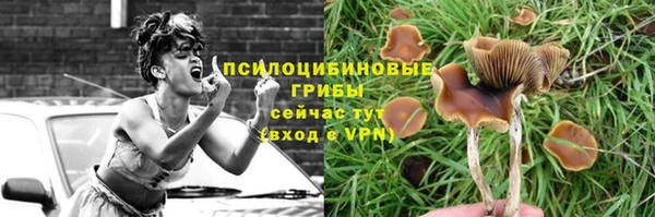 бутират Бородино